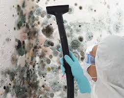 Best Mold Removal for HVAC Installations  in Womelsdorf, PA